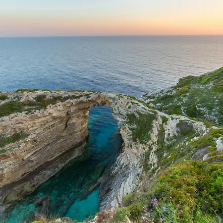 Flora Maisonettes 2 *